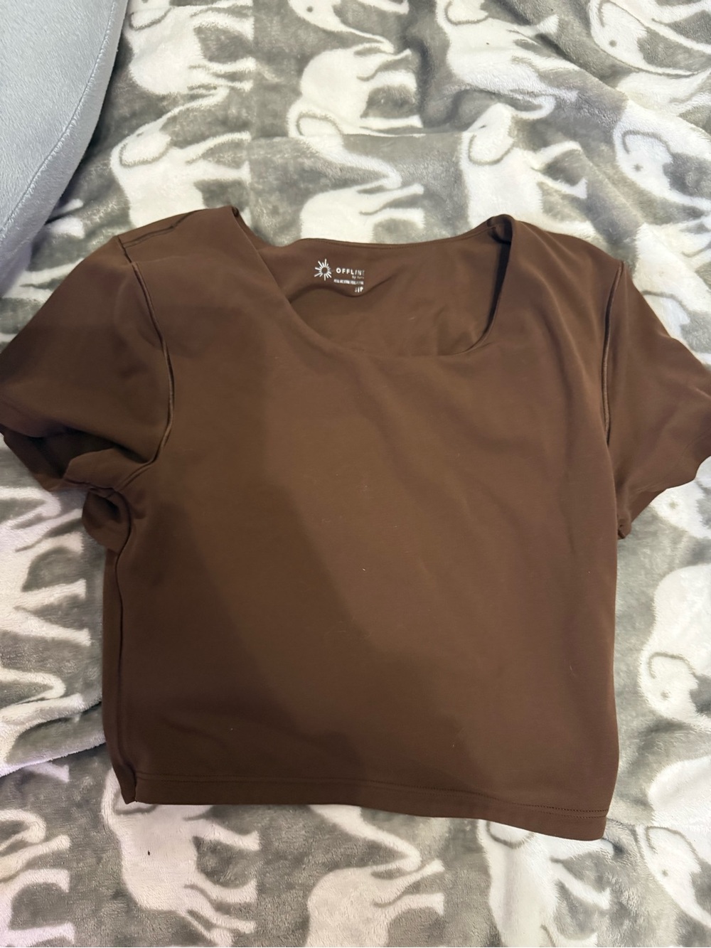 aerie Brown Crop Top